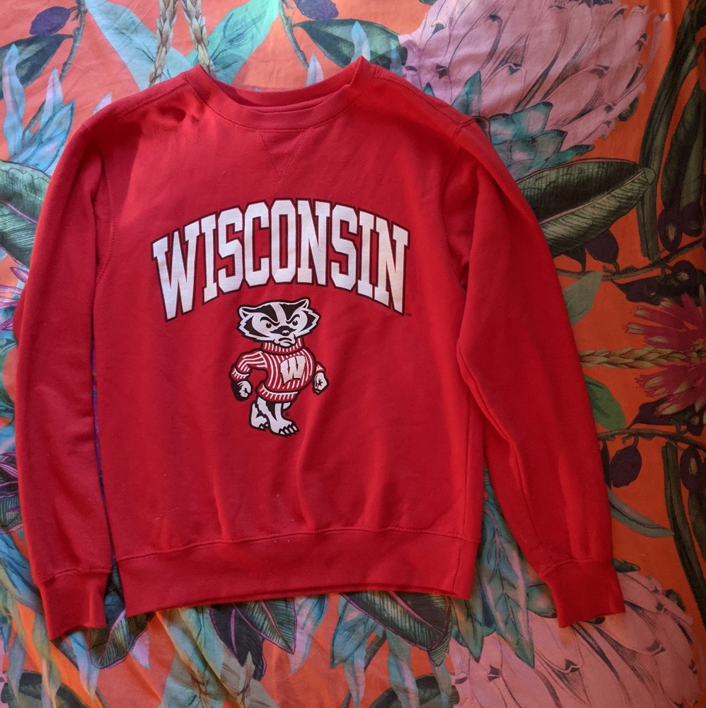University of Wisconsin Madison sweatshirt